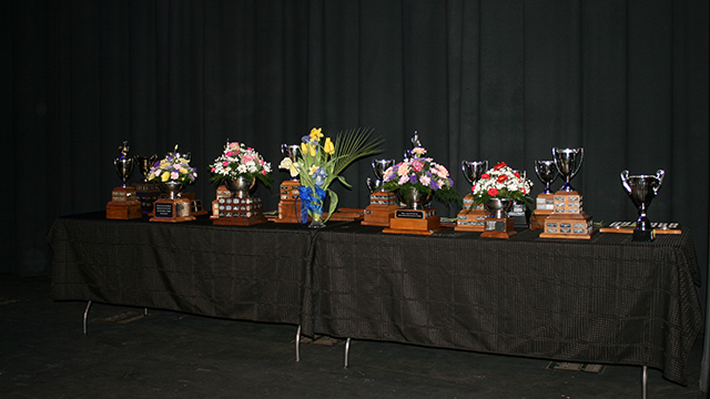 Awards' Ceremony Trophies